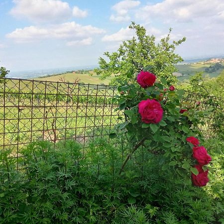 Morelli House Konuk evi Montalbo Dış mekan fotoğraf