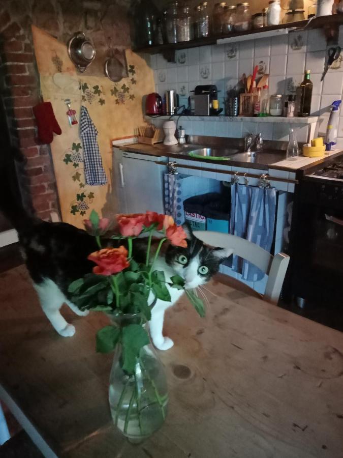 Morelli House Konuk evi Montalbo Dış mekan fotoğraf