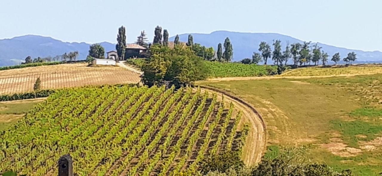 Morelli House Konuk evi Montalbo Dış mekan fotoğraf