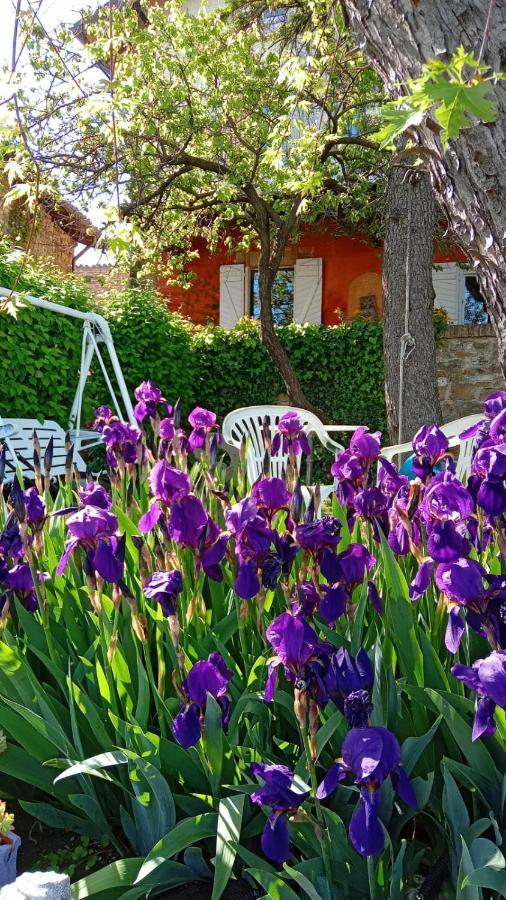 Morelli House Konuk evi Montalbo Dış mekan fotoğraf